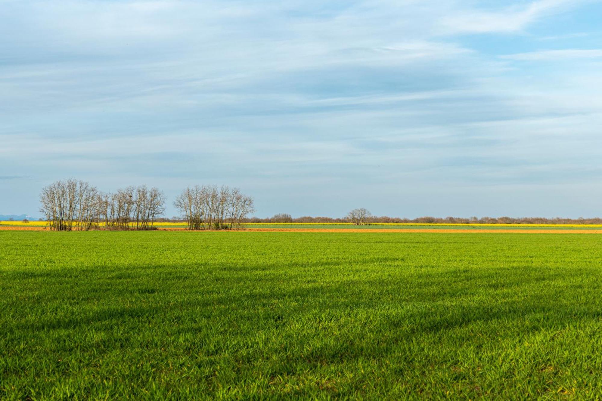 Descubre La Cepedana: Casa Rural Con Encanto En Cogorderos, A Solo 10 Km De Astorga المظهر الخارجي الصورة